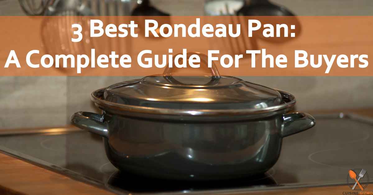 3 Best Rondeau Pan: A Complete Guide For The Buyers
