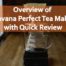Overview of Teavana Perfect Tea Maker with Quick Review