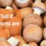 how to tell if mushrooms are bad