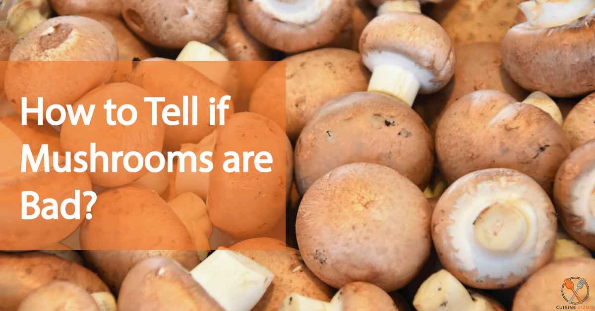 how to tell if mushrooms are bad