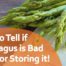 How to tell if Asparagus is bad