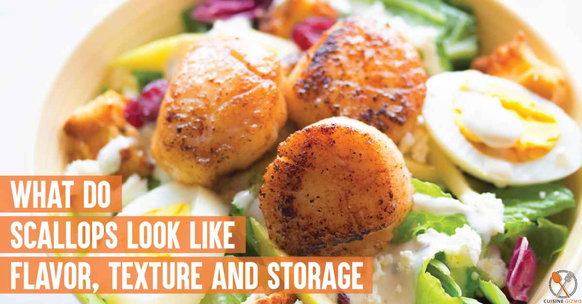 What Do Scallops Look Like: Flavor, Texture and Storage
