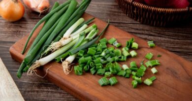 What Part Of The Green Onion Do You Use