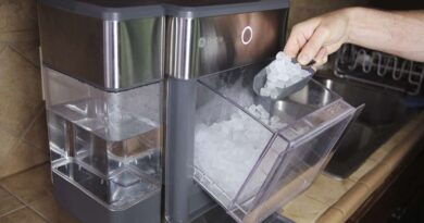 Fridge With Nugget Ice Maker
