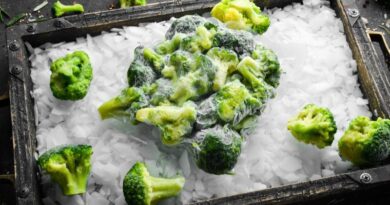 How to Tell if Broccoli is Bad Freeze, Storage and Defrost