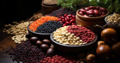 10 Healthiest High Protein Beans