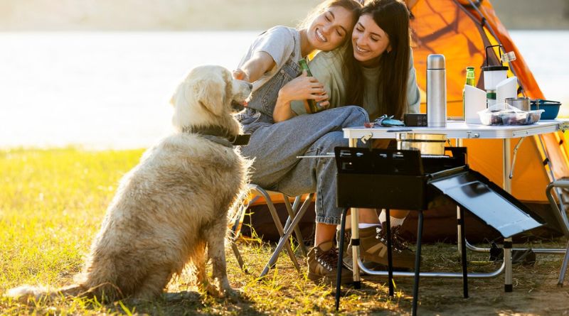 10 Tips For A Memorable Dog-Friendly Camping Adventure