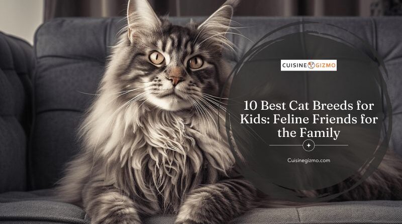 10 Best Cat Breeds for Kids: Feline Friends for the Family