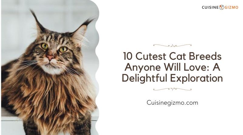 10 Cutest Cat Breeds Anyone Will Love: A Delightful Exploration