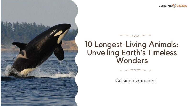 10 Longest-Living Animals: Unveiling Earth’s Timeless Wonders