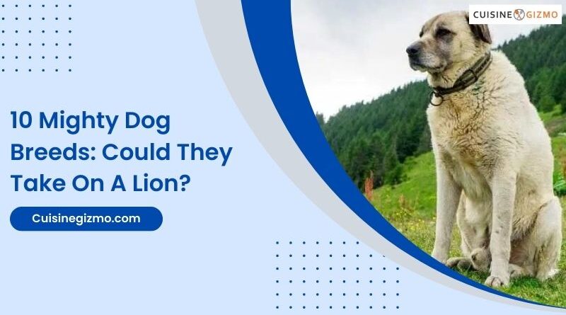 10 Mighty Dog Breeds: Could They Take on a Lion?