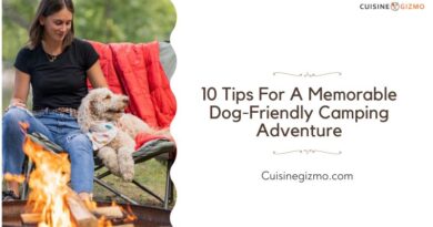 10 Tips for a Memorable Dog-Friendly Camping Adventure