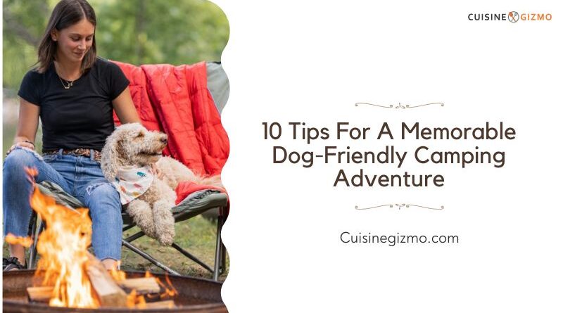 10 Tips for a Memorable Dog-Friendly Camping Adventure