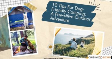 10 Tips for Dog-Friendly Camping: A Paw-sitive Outdoor Adventure