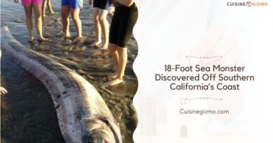 18-Foot Sea Monster Discovered Off Southern California’s Coast