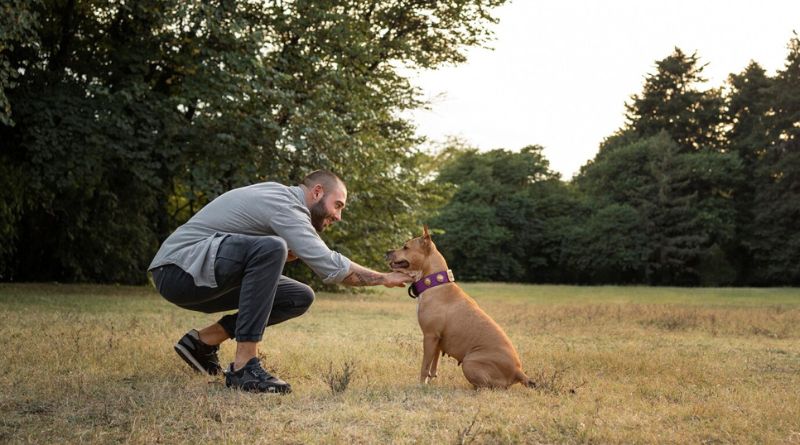 5 Essential Dog Training Tips for Beginners Setting You and Your Pup Up for Success