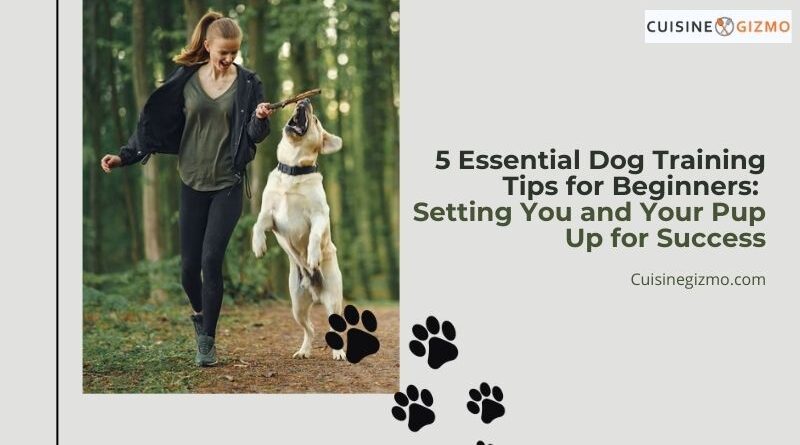 5 Essential Dog Training Tips for Beginners: Setting You and Your Pup Up for Success