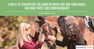5 Ways to Strengthen the Bond Between You and Your Horse: Building Trust and Companionship