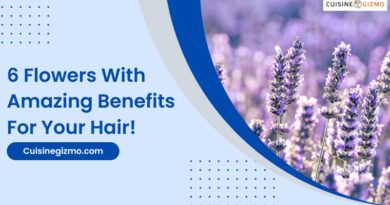 6 Flowers With Amazing Benefits For Your Hair!