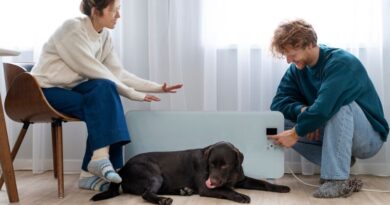7 Best And Effective Ways to Prevent Dog Peeing Indoors