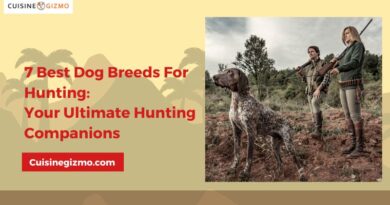 7 Best Dog Breeds for Hunting: Your Ultimate Hunting Companions