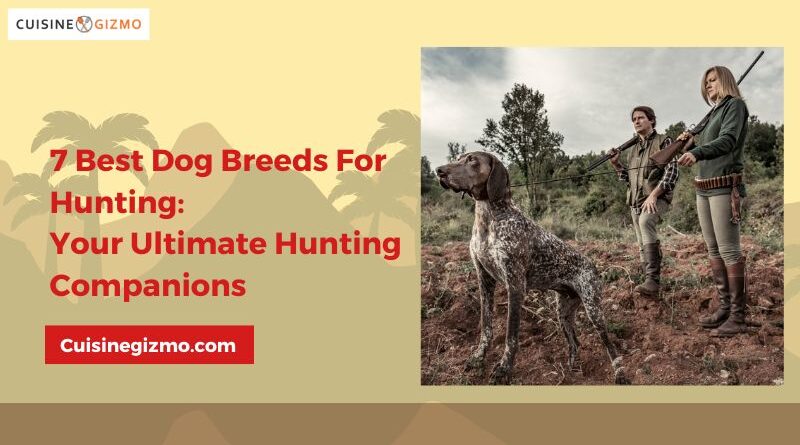 7 Best Dog Breeds for Hunting: Your Ultimate Hunting Companions