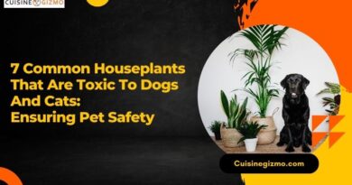 7 Common Houseplants That Are Toxic to Dogs and Cats: Ensuring Pet Safety