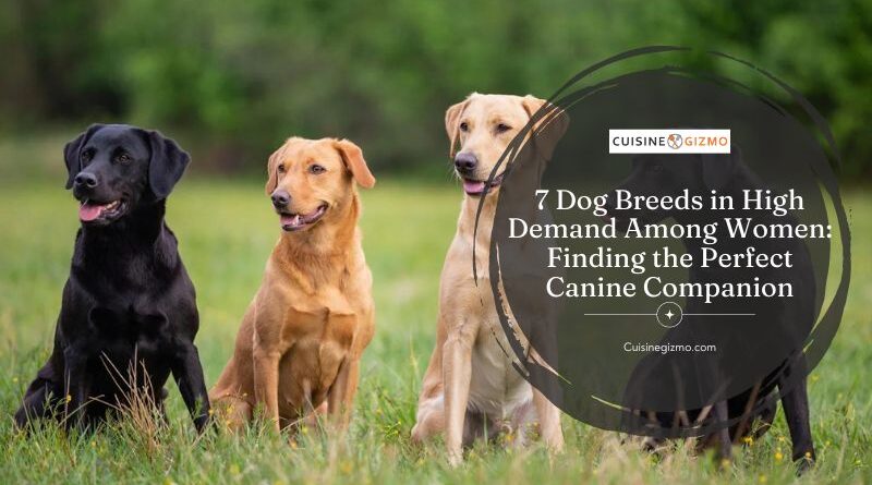 7 Dog Breeds in High Demand Among Women: Finding the Perfect Canine Companion