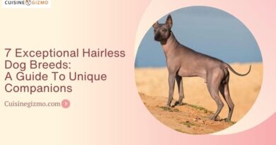 7 Exceptional Hairless Dog Breeds: A Guide to Unique Companions