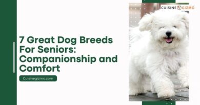7 Great Dog Breeds for Seniors: Companionship and Comfort