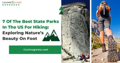 7 Of The Best State Parks In The US For Hiking: Exploring Nature’s Beauty On Foot