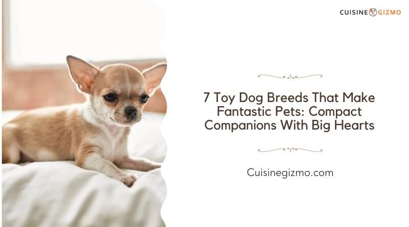 7 Toy Dog Breeds That Make Fantastic Pets: Compact Companions with Big Hearts