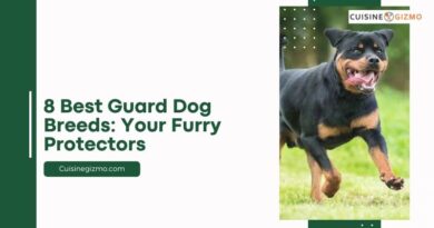 8 Best Guard Dog Breeds: Your Furry Protectors
