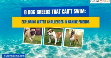 8 Dog Breeds That Can’t Swim: Exploring Water Challenges in Canine Friends