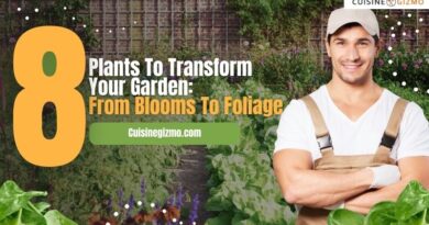 8 Plants to Transform Your Garden: From Blooms to Foliage