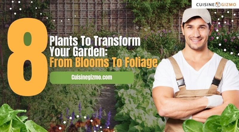 8 Plants to Transform Your Garden: From Blooms to Foliage