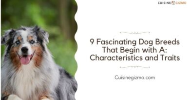 9 Fascinating Dog Breeds That Begin with A: Characteristics and Traits