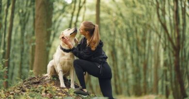 Best Dogs for Hiking and Climbing