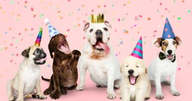 Celebrate Your Dog’s Birthday