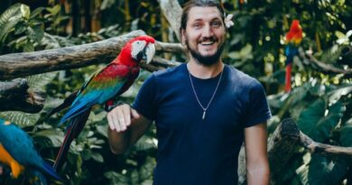 Mastering Parrot Tricks A Step-by-Step Guide to Clicker Training