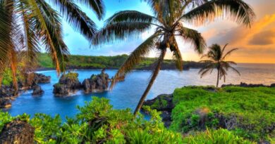 Must-Visit Destinations in the United States