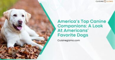 America’s Top Canine Companions: A Look at Americans’ Favorite Dogs