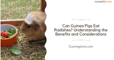 Can Guinea Pigs Eat Radishes? Understanding the Benefits and Considerations