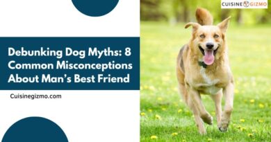 Debunking Dog Myths: 8 Common Misconceptions About Man’s Best Friend