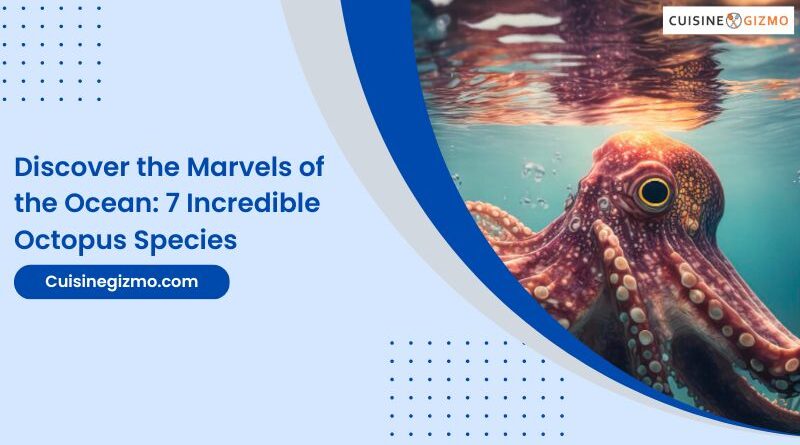 Discover the Marvels of the Ocean: 7 Incredible Octopus Species