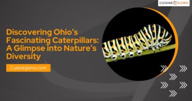 Discovering Ohio’s Fascinating Caterpillars: A Glimpse into Nature’s Diversity
