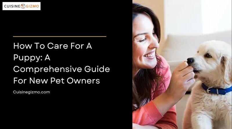 How to Care for a Puppy: A Comprehensive Guide for New Pet Owners