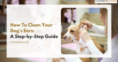 How to Clean Your Dog’s Ears: A Step-by-Step Guide