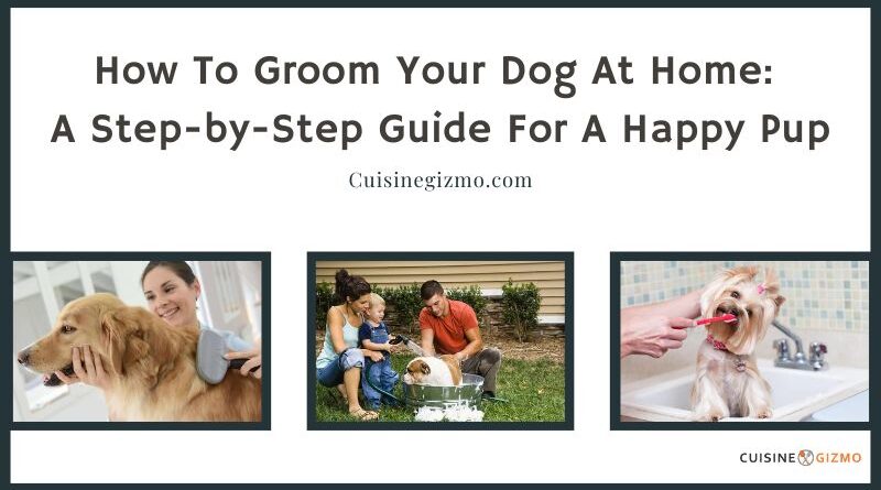 How to Groom Your Dog at Home: A Step-by-Step Guide for a Happy Pup