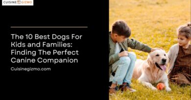 The 10 Best Dogs for Kids and Families: Finding the Perfect Canine Companion